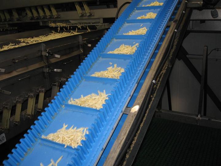 Conventional Conveyor Manufacturer GTA